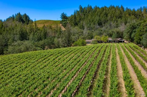 Photo of 2131 Foothill Boulevard, Calistoga, CA 94515 (MLS # 325084254)
