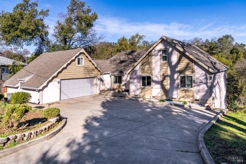 Photo of 32 Boxelder Court, Napa, CA 94558 (MLS # 325009345)