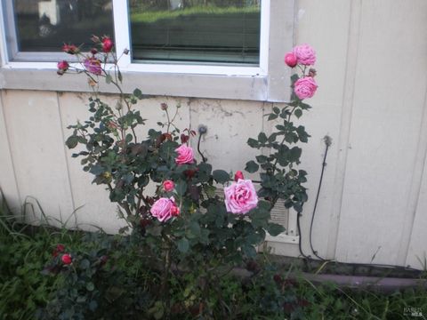 Photo of 1911 Corby Avenue, Santa Rosa, CA 95407 (MLS # 326019411)