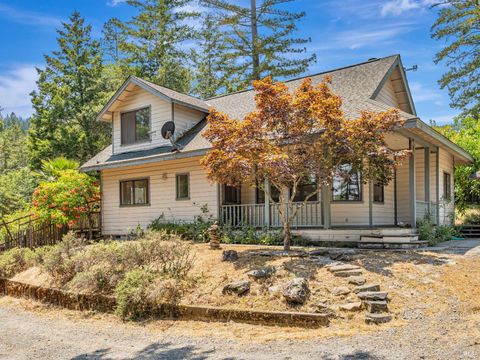 Photo of 480 Pearl Street, Cazadero, CA 95421 (MLS # 325064398)