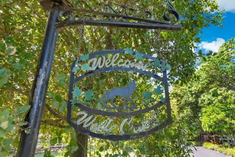 MLS: 325036058