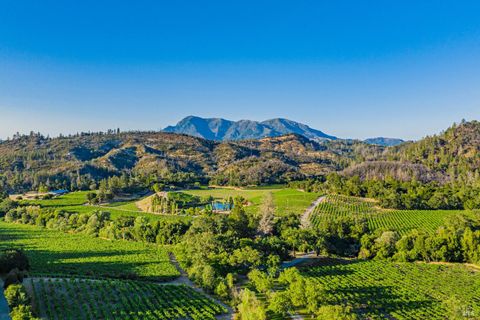 Photo of 8320 Franz Valley Road, Calistoga, CA 94515 (MLS # 325064452)