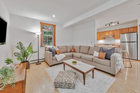 Photo of 15217 Canyon 7 Road, Guerneville, CA 95446 (MLS # 325053673)