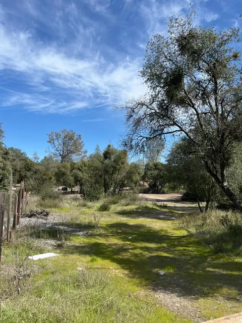 MLS: 325030626
