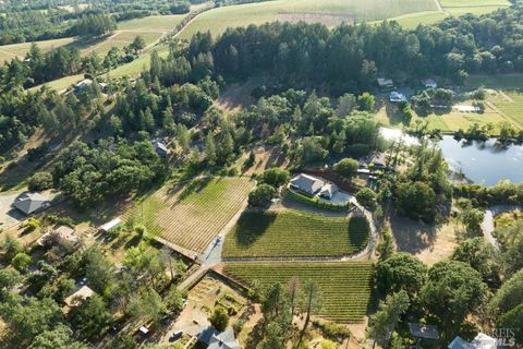 Photo of 875 White Cottage Road N, Angwin, CA 94508 (MLS # 326012226)