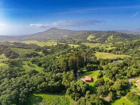 3803 Matanzas Creek Lane, Santa Rosa, CA 95404 - MLS#: 325015164