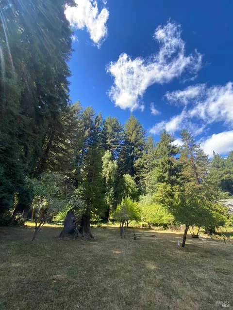 MLS: 325010992