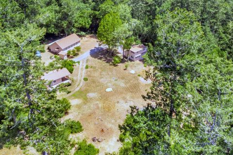 Photo of 16880 Coleman Valley Road, Occidental, CA 95465 (MLS # 325057952)