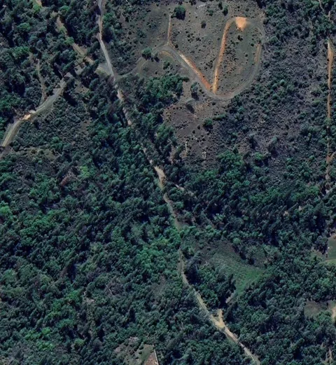 MLS: 225019214