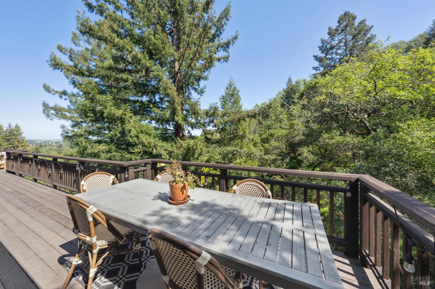 25 Palomino Circle