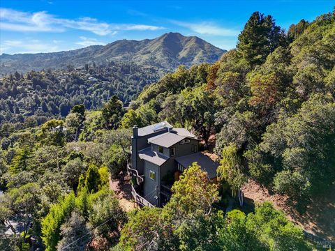 Photo of 78 Greenwood Way, Mill Valley, CA 94941 (MLS # 325075010)