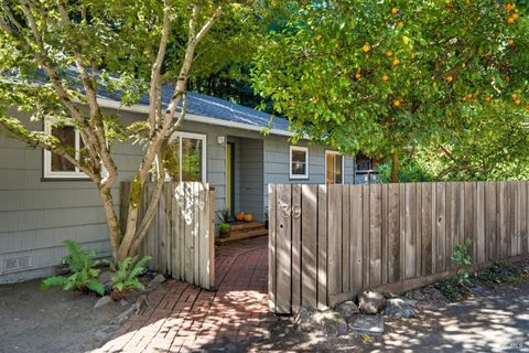 Photo of 39 Bridge Road, Larkspur, CA 94939 (MLS # 325085566)