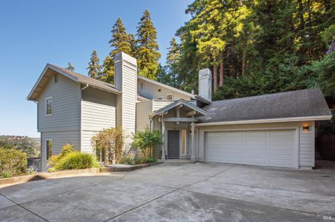 Photo of 70 Madrone Park Circle, Mill Valley, CA 94941 (MLS # 325083386)