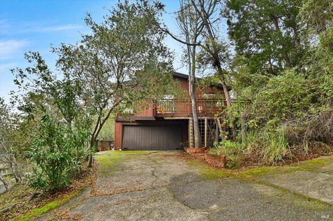 Photo of 38 Dutch Valley Lane, San Anselmo, CA 94960 (MLS # 326005996)