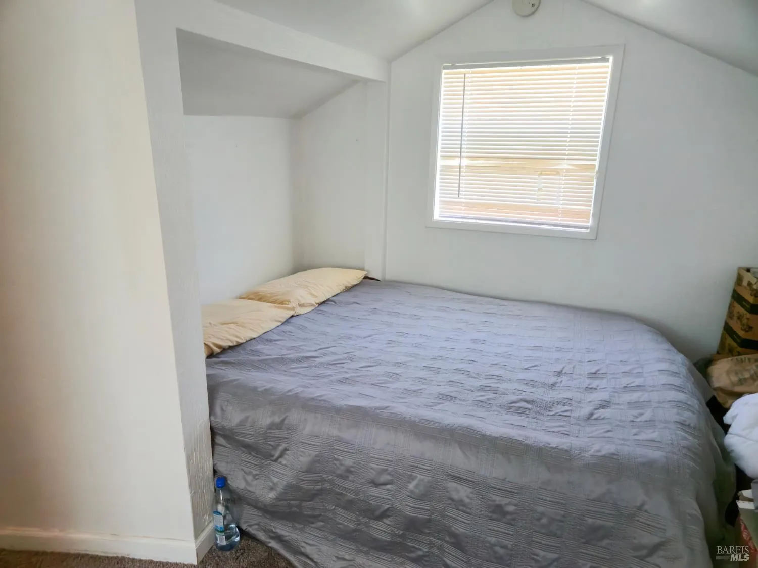 Sebastopol, California 95472, United States, 6 Bedrooms Bedrooms, ,4 BathroomsBathrooms,Residential,Active,194447