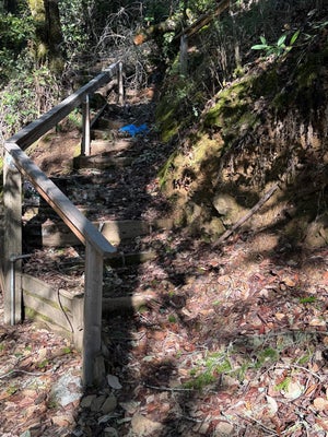 17561 DUNCAN RD, GUERNEVILLE, CA 95446 - Image db945b9c9d889f0e32eaba75ecf86a47/1634888931