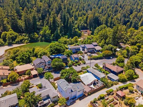 Photo of 17653 Orchard Avenue, Guerneville, CA 95446 (MLS # 325089274)