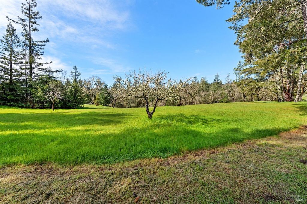 listing image 52