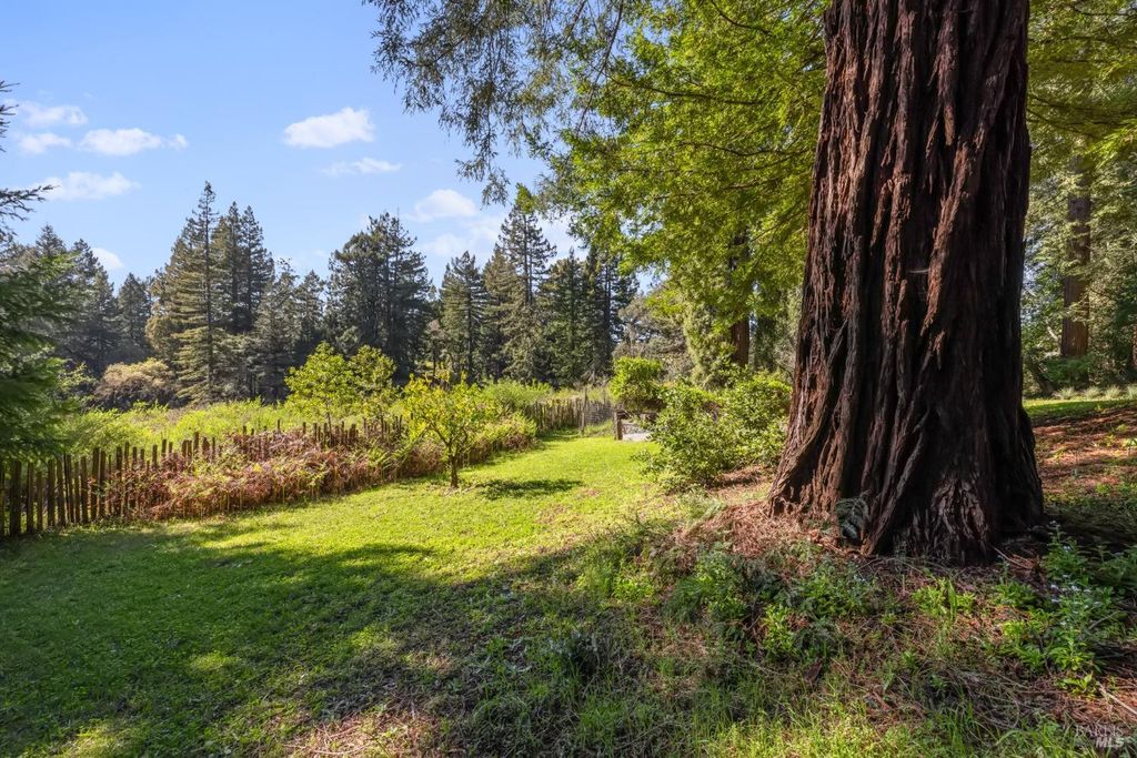 listing image 87