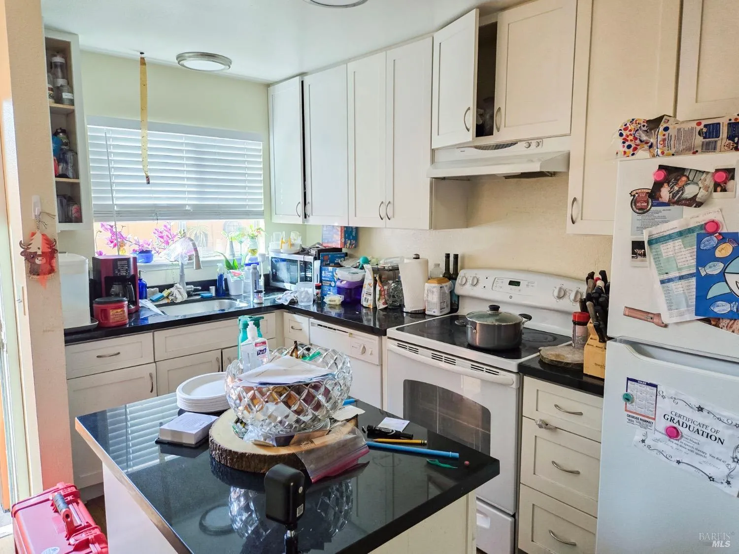 Rohnert Park, California 94928, United States, 8 Bedrooms Bedrooms, ,6 BathroomsBathrooms,Residential,Active,88971