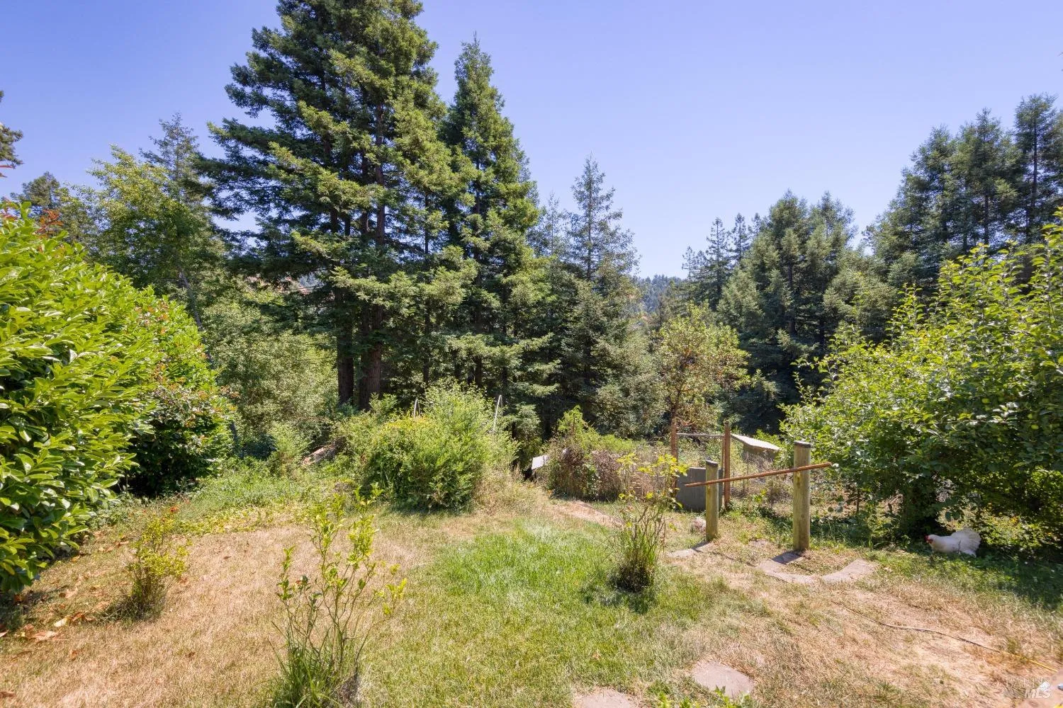 Cazadero, California 95421, United States, 2 Bedrooms Bedrooms, ,1 BathroomBathrooms,Residential,Pending,115179