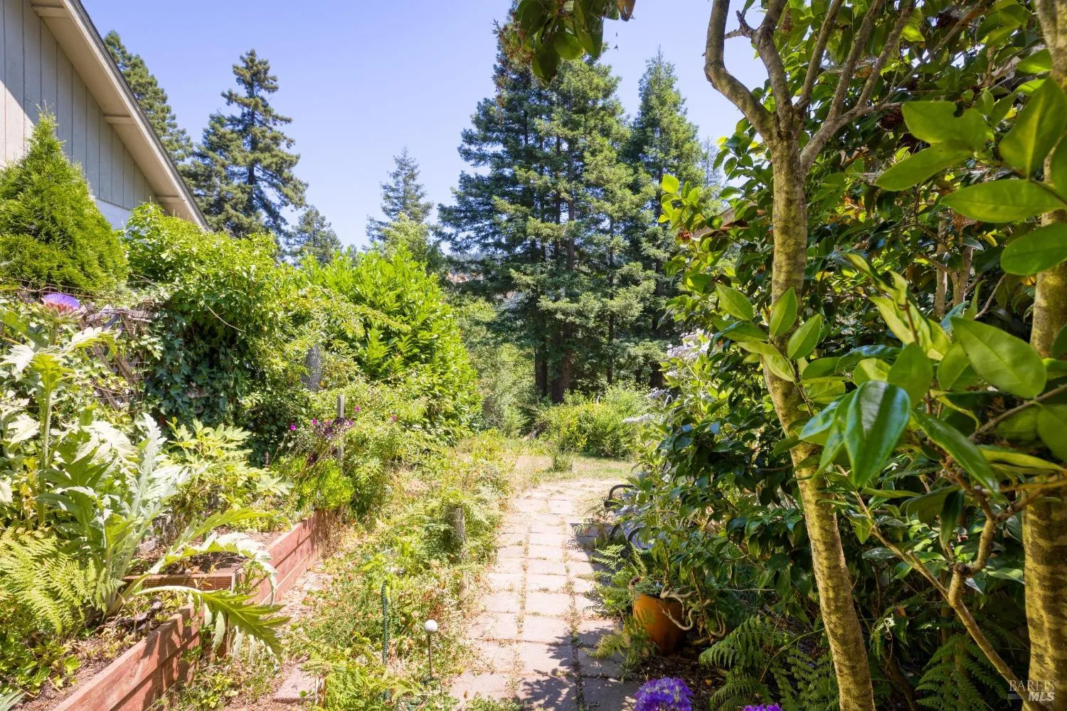 Cazadero, California 95421, United States, 2 Bedrooms Bedrooms, ,1 BathroomBathrooms,Residential,Pending,115179