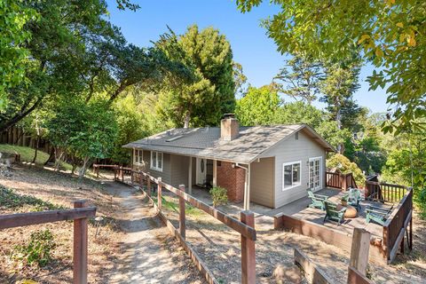 Photo of 351 N Ferndale Avenue, Mill Valley, CA 94941 (MLS # 325074669)