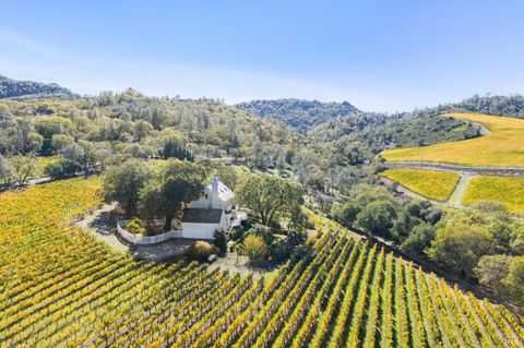 Photo of 3265 Soda Canyon Road, Napa, CA 94558 (MLS # 325095446)