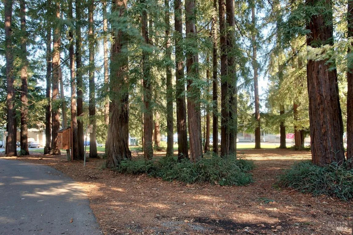 Fairfax, California 94930, United States, 1 Bedroom Bedrooms, ,2 BathroomsBathrooms,Residential,Pending,8788