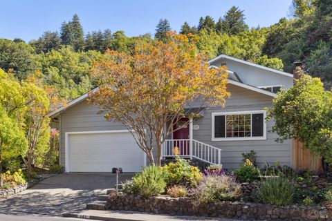 Photo of 141 Irwin Street, San Rafael, CA 94901 (MLS # 326007817)