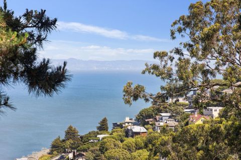 Photo of 103 Marion Avenue, Sausalito, CA 94965 (MLS # 325076103)