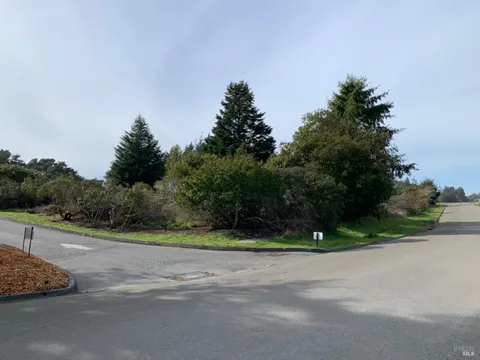 MLS: 325016010