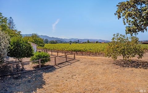 Photo of 1234 Davis Lane, Saint Helena, CA 94574 (MLS # 326002739)