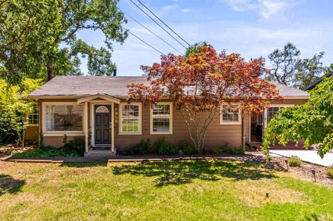 Photo of 355 Sky Oaks Drive, Angwin, CA 94508 (MLS # 325059977)