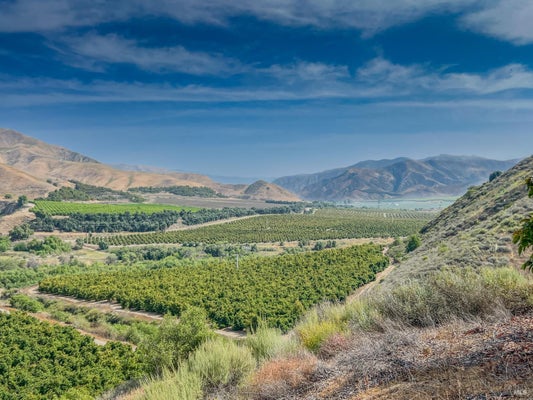3800 PIRU CANYON RD, PIRU, CA 93040 - Image fb28a5a802df563ba84d6ed5369ecfe4/3667647080