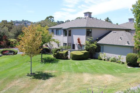 Photo of 29 Sailmaker Court, San Rafael, CA 94903 (MLS # 325071352)