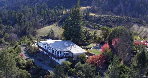 Photo of 1755 Diamond Mountain Road, Calistoga, CA 94515 (MLS # 326016218)
