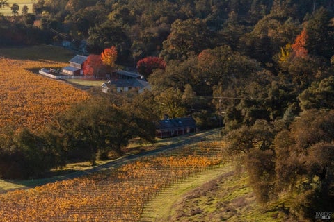 Photo of 970 Conn Valley Road, Saint Helena, CA 94574 (MLS # 326072458)