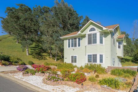 Photo of 1486 Steele Canyon Road, Napa, CA 94558 (MLS # 326023762)