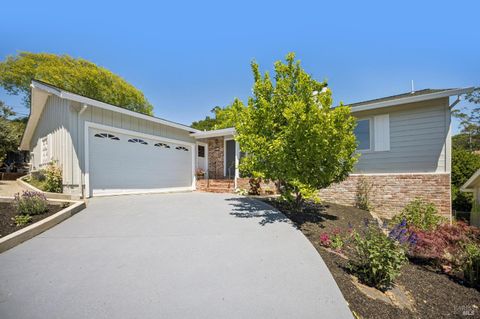 Photo of 117 Longfellow Road, Mill Valley, CA 94941 (MLS # 326043748)