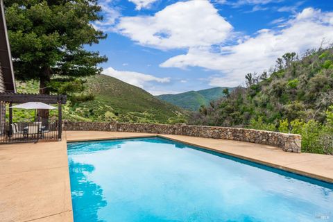 Photo of 3955 E Highway 128 Highway, Saint Helena, CA 94574 (MLS # 326037007)