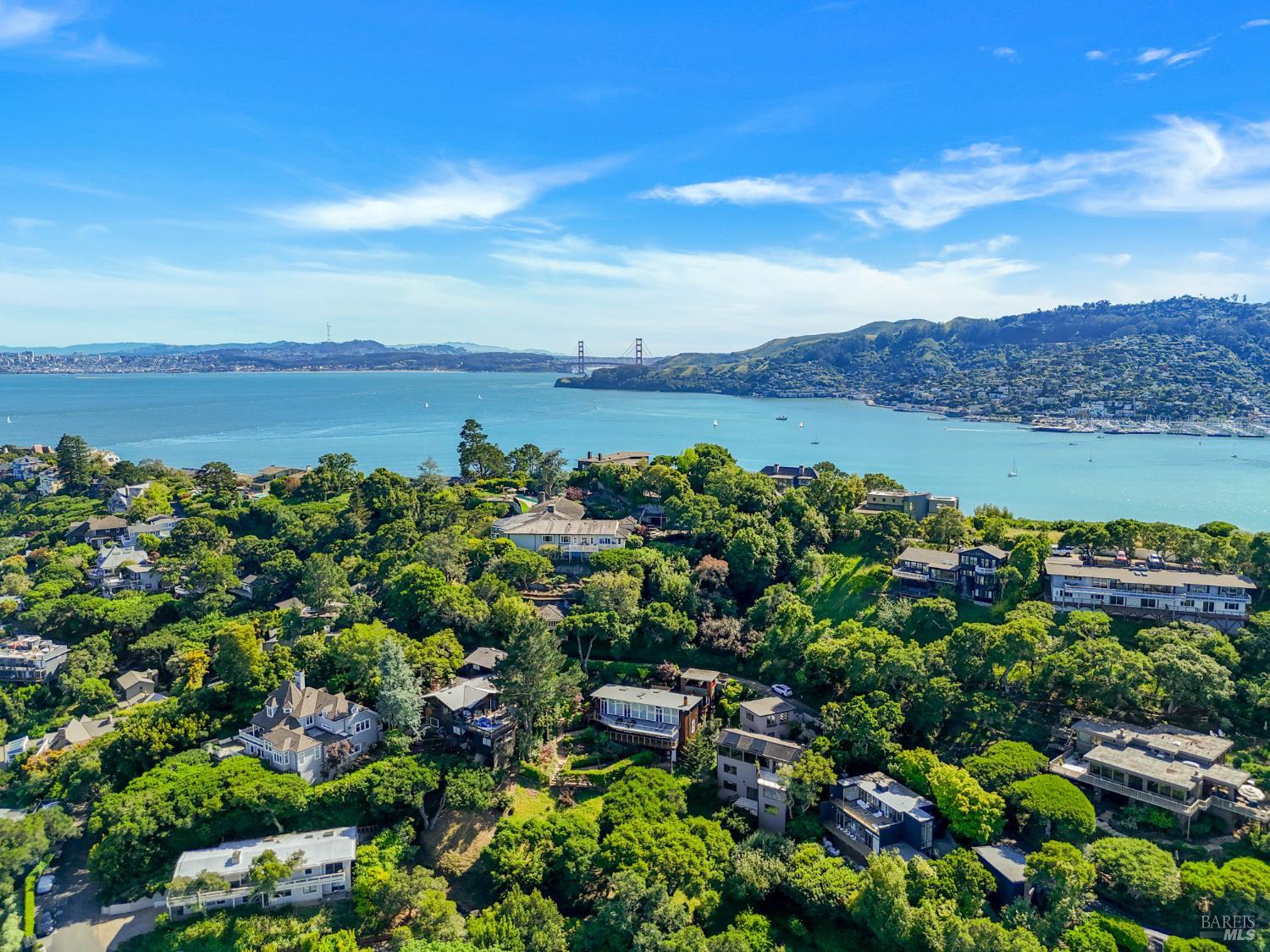 45 Bella Vista Avenue