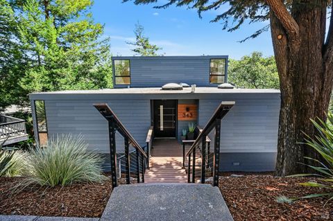 Photo of 343 Carrera Drive, Mill Valley, CA 94941 (MLS # 326026577)