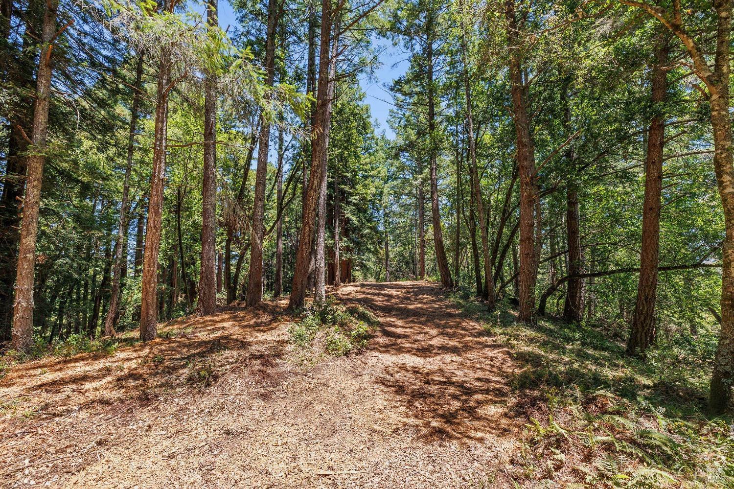 1401 Nicasio Valley Road