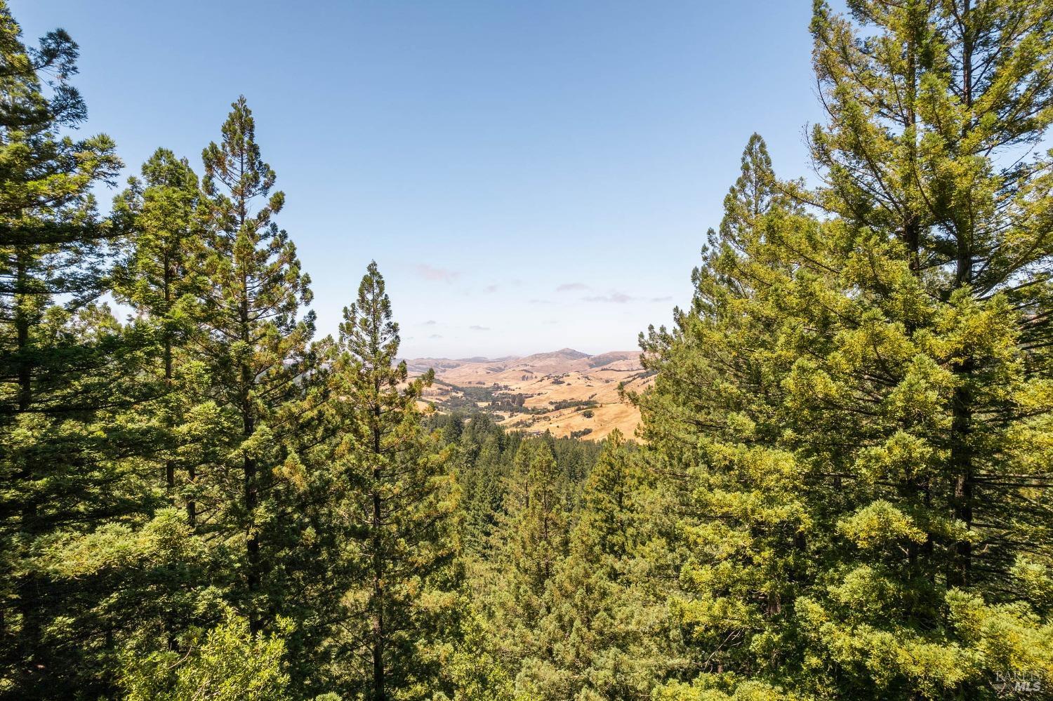 1401 Nicasio Valley Road