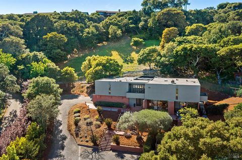 Photo of 30 Chateau Place, San Rafael, CA 94901 (MLS # 326021753)