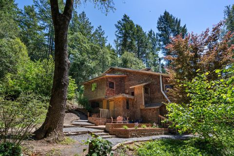 Photo of 805 Wagnon Road, Sebastopol, CA 95472 (MLS # 326040351)