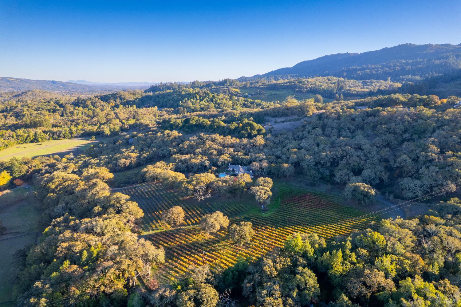 3295 Warm Springs Road