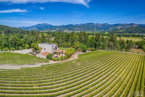 Photo of 4447 N St. Helena Highway, Calistoga, CA 94515 (MLS # 326006071)