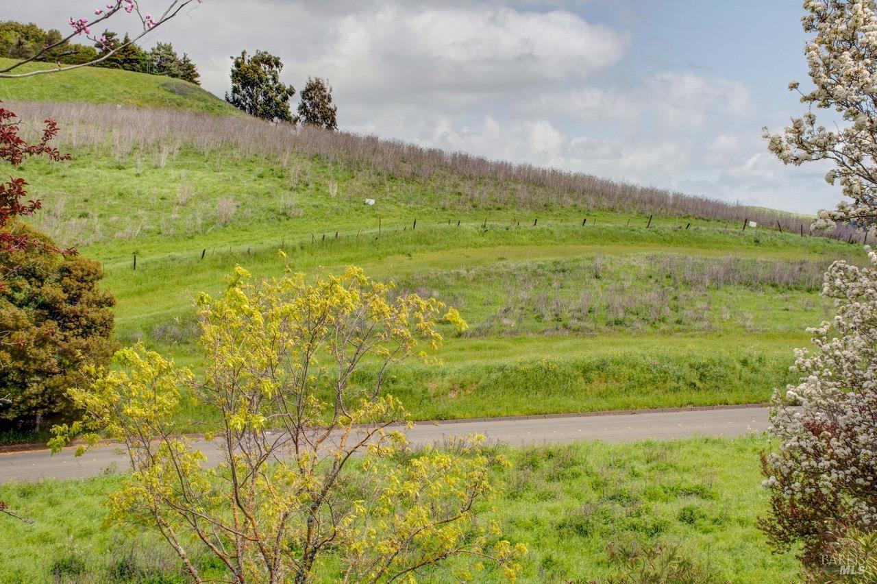 0 Eucalyptus Drive